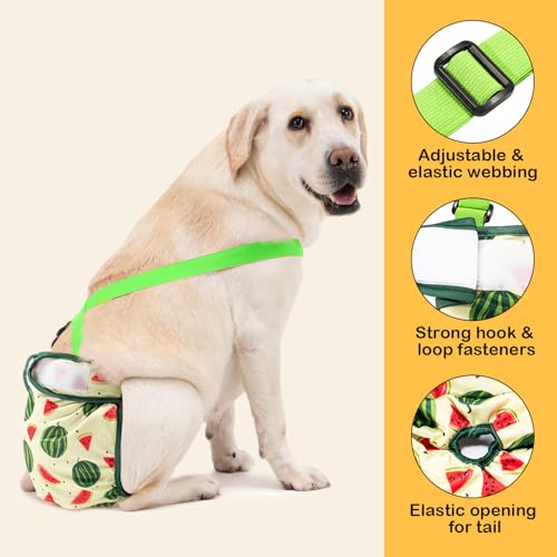 Avont 3-Pack Washable Female Dog Diapers with Suspenders - Adjustable, Leakproof, Reusable for Small Dogs (Size S, Yellow/Pink/Green)