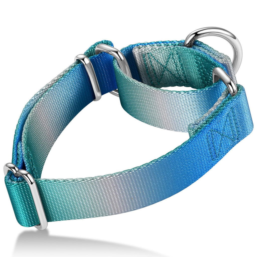 Axdvk Martingale Dog Collar - Turquoise Gradient Medium, Anti-Escape Training Collar for Daily Walks and Outdoor Adventures