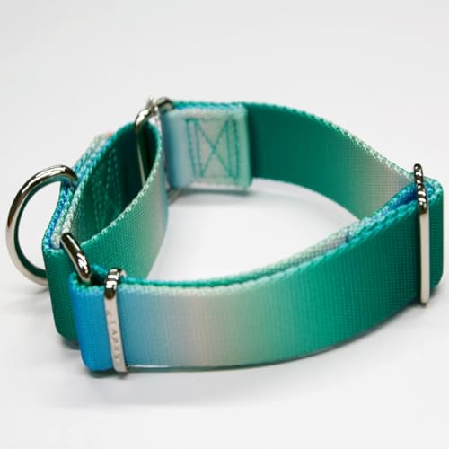 Axdvk Martingale Dog Collar - Turquoise Gradient Medium, Anti-Escape Training Collar for Daily Walks and Outdoor Adventures