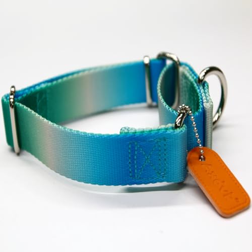 Axdvk Martingale Dog Collar - Turquoise Gradient Medium, Anti-Escape Training Collar for Daily Walks and Outdoor Adventures