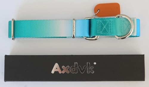 Axdvk Martingale Dog Collar - Turquoise Gradient Medium, Anti-Escape Training Collar for Daily Walks and Outdoor Adventures