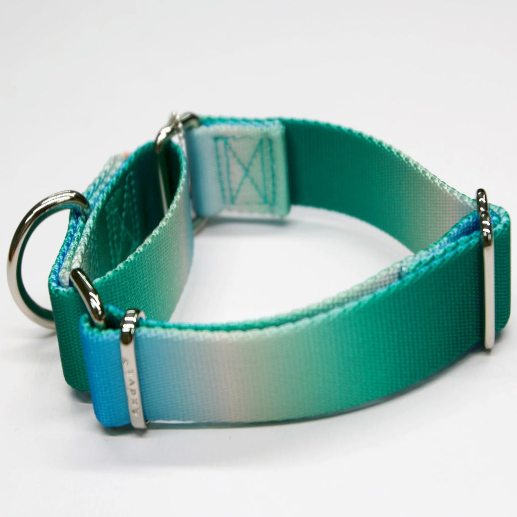 Axdvk Martingale Dog Collar - Turquoise Gradient Medium, Anti-Escape Training Collar for Daily Walks and Outdoor Adventures