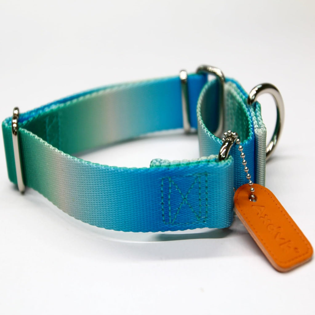 Axdvk Martingale Dog Collar - Turquoise Gradient Medium, Anti-Escape Training Collar for Daily Walks and Outdoor Adventures