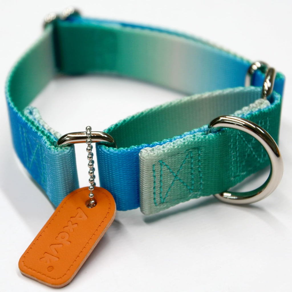 Axdvk Martingale Dog Collar - Turquoise Gradient Medium, Anti-Escape Training Collar for Daily Walks and Outdoor Adventures