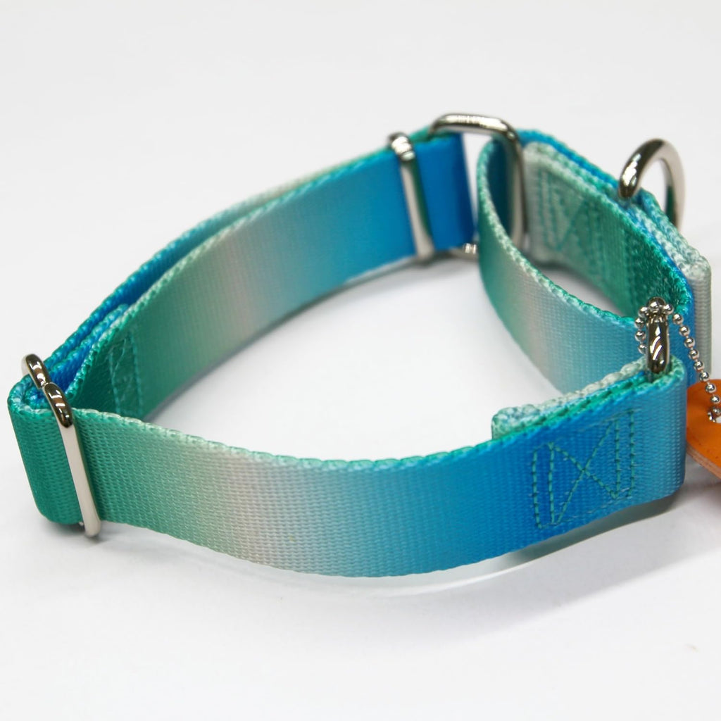 Axdvk Martingale Dog Collar - Turquoise Gradient Medium, Anti-Escape Training Collar for Daily Walks and Outdoor Adventures