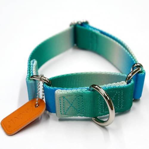 Axdvk Martingale Dog Collar - Turquoise Gradient Medium, Anti-Escape Training Collar for Daily Walks and Outdoor Adventures