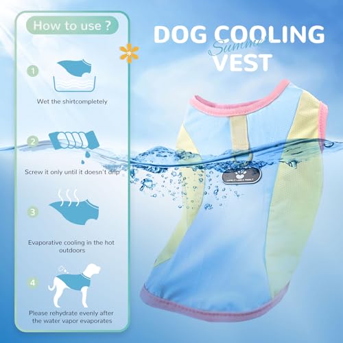 AXIIJGL Dog Cooling Vest with D-Ring – SPF 30 Sun Protection, Breathable & Stretchy Shirt for Small Dogs (Medium)
