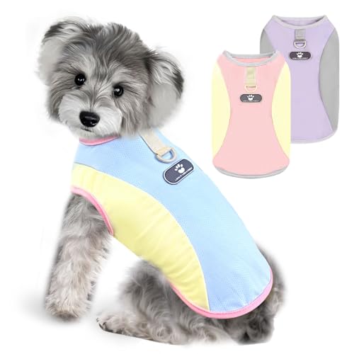 AXIIJGL Dog Cooling Vest with D-Ring – SPF 30 Sun Protection, Breathable & Stretchy Shirt for Small Dogs (Medium)