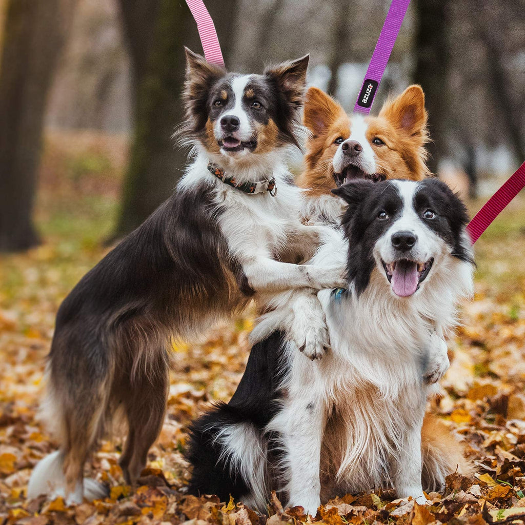 azuza 3-Pack Nylon Dog Leashes – 4ft x 1in for Large Dogs, Hot Pink/Pink/Purple