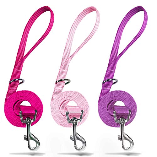 azuza 3-Pack Nylon Dog Leashes – 4ft x 1in for Large Dogs, Hot Pink/Pink/Purple
