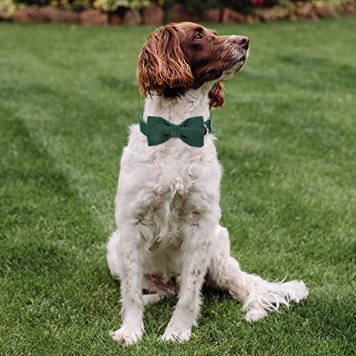 Babole Pet Green Corduroy Dog Collar with Bow Tie – Adjustable Small Dog Collar XS (8-12 Inches)