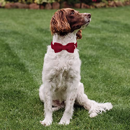 Babole Pet Wine Red Corduroy Dog Collar with Bow Tie, Adjustable XL for Large Dogs, 16-26 inch Neck