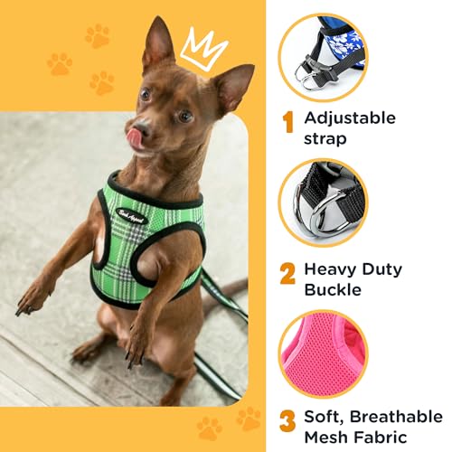 Bark Appeal Blue Plaid Step-in Dog Harness for Small Pets (13-15" Chest) - Soft Mesh Vest with Adjustable Strap and Heavy Duty Clip