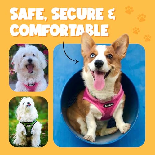 Bark Appeal Hot Pink Step-In Dog Harness for Extra Small Pets – XS Mesh Vest with Adjustable Anti-Choke Strap