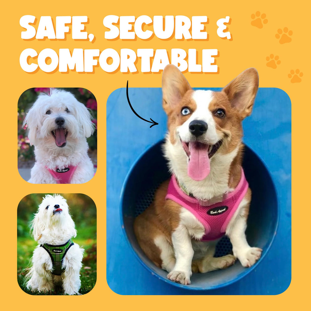 Bark Appeal Hot Pink Step-In Dog Harness for Extra Small Pets – XS Mesh Vest with Adjustable Anti-Choke Strap