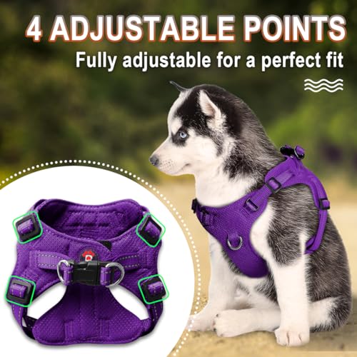 BARKBAY Purple XS Step-In Dog Harness – Reflective, Adjustable No-Pull Vest for Small Dogs and Cats