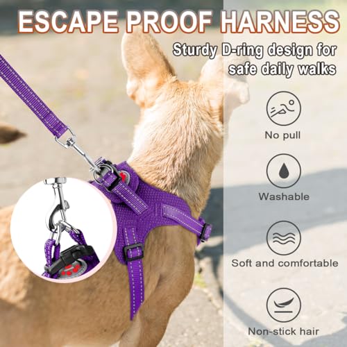 BARKBAY Purple XS Step-In Dog Harness – Reflective, Adjustable No-Pull Vest for Small Dogs and Cats