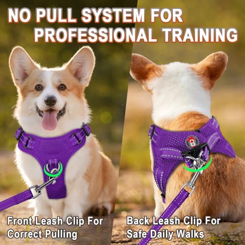 BARKBAY Purple XS Step-In Dog Harness – Reflective, Adjustable No-Pull Vest for Small Dogs and Cats