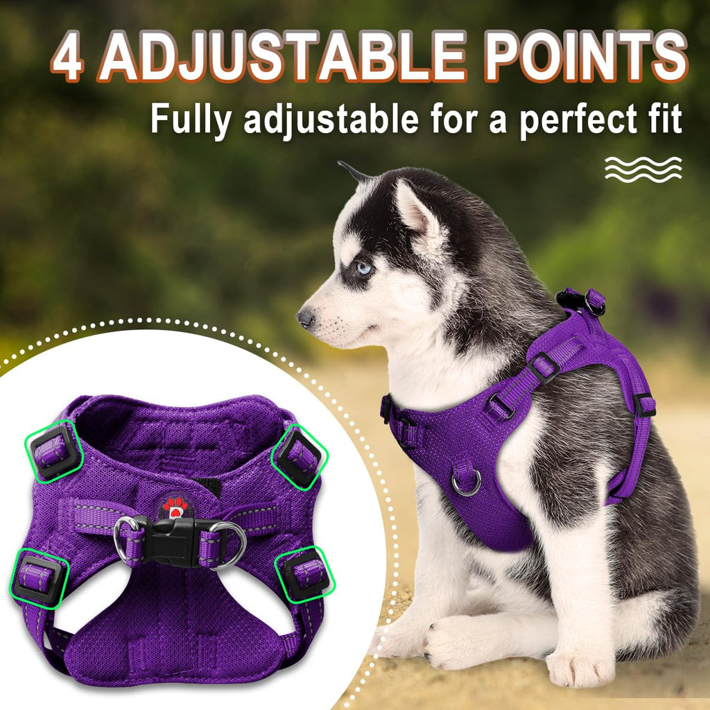 BARKBAY Purple XS Step-In Dog Harness – Reflective, Adjustable No-Pull Vest for Small Dogs and Cats