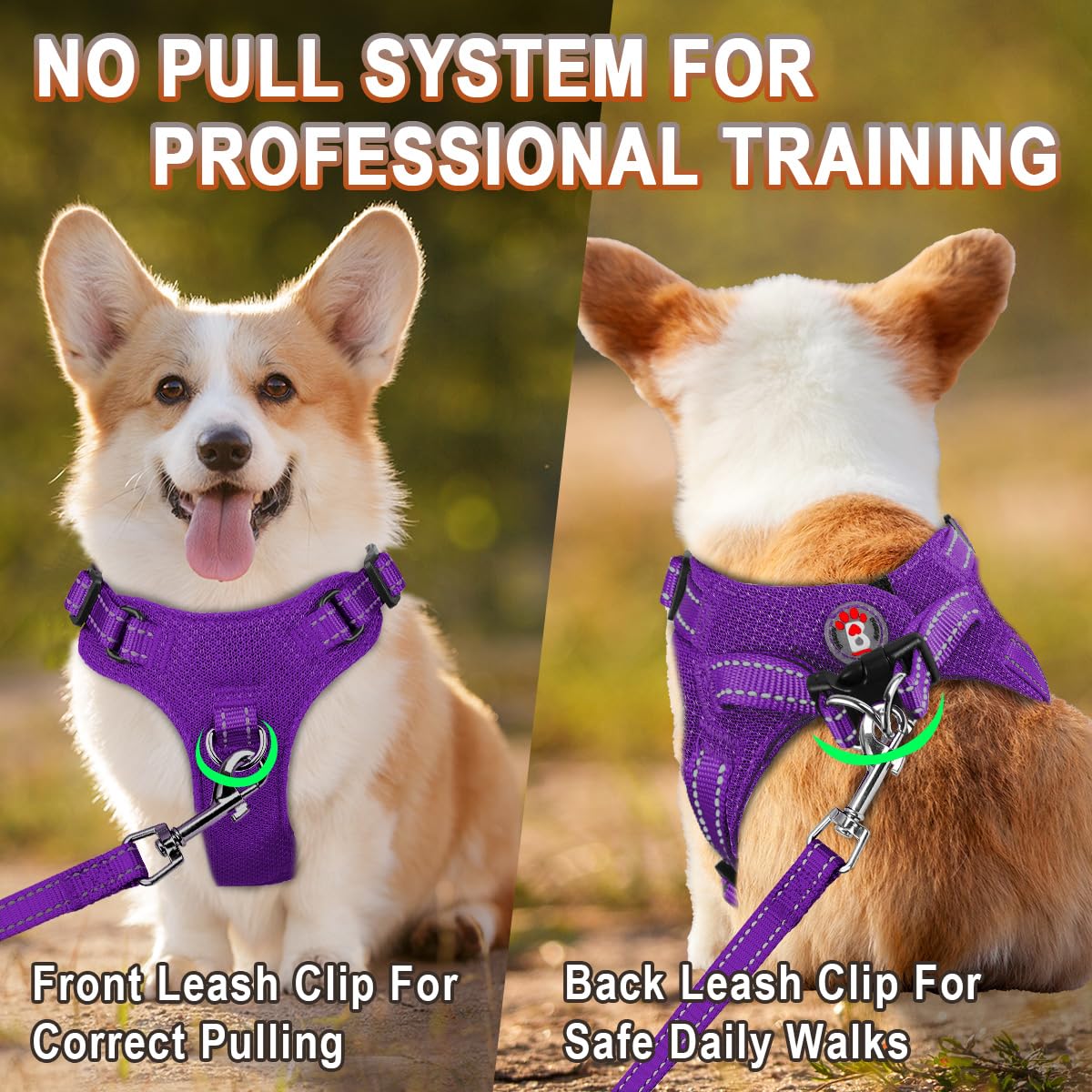 BARKBAY Purple XS Step-In Dog Harness – Reflective, Adjustable No-Pull Vest for Small Dogs and Cats