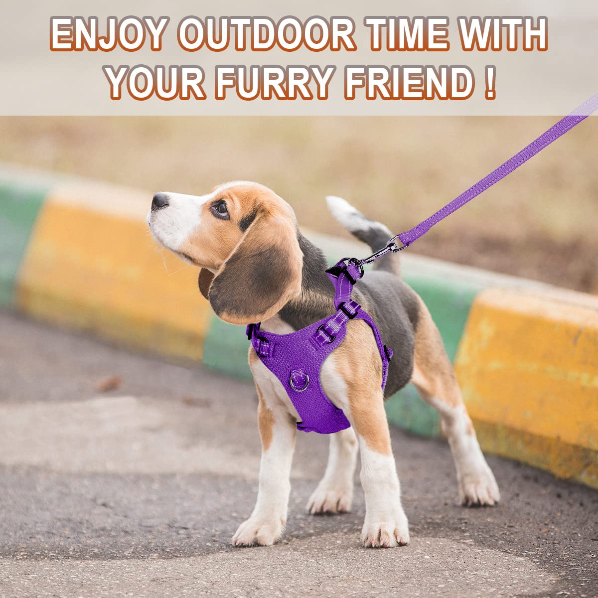 BARKBAY Purple XS Step-In Dog Harness – Reflective, Adjustable No-Pull Vest for Small Dogs and Cats