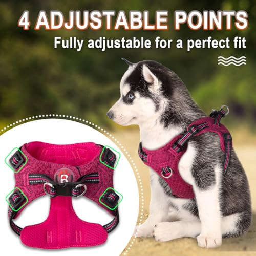 BARKBAY Step-in Dog Harness – Reflective, Adjustable, No-Pull Vest for Small Dogs & Cats, Pink/Black, Size S