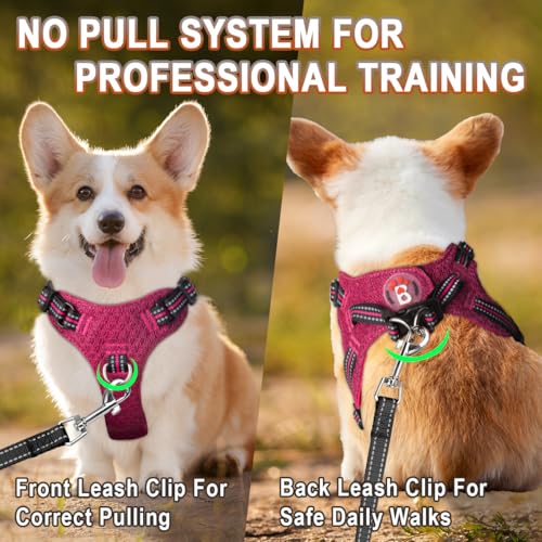 BARKBAY Step-in Dog Harness – Reflective, Adjustable, No-Pull Vest for Small Dogs & Cats, Pink/Black, Size S