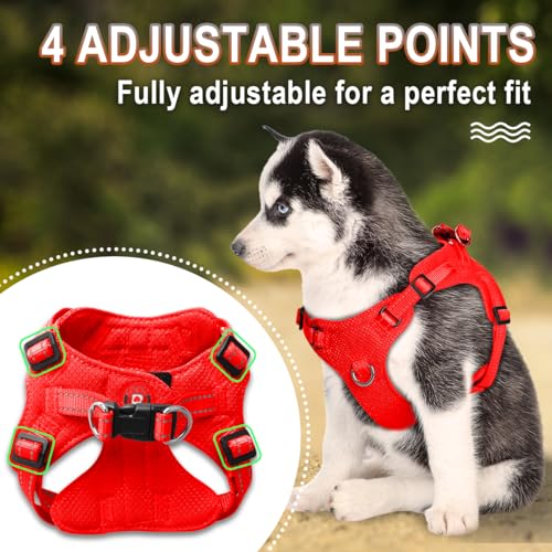 BARKBAY XS Red Step-In Dog Harness with Reflective Trim and Dual D-Rings for Small Dogs and Cats