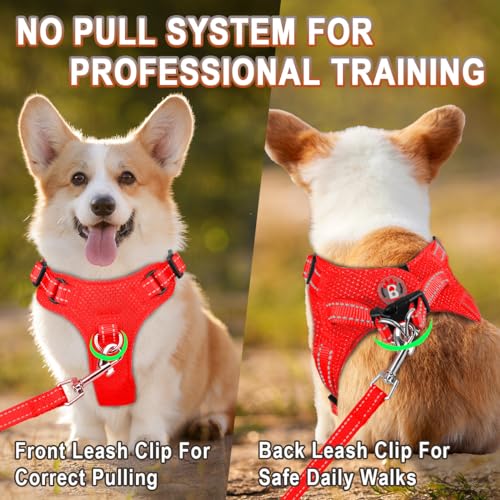BARKBAY XS Red Step-In Dog Harness with Reflective Trim and Dual D-Rings for Small Dogs and Cats