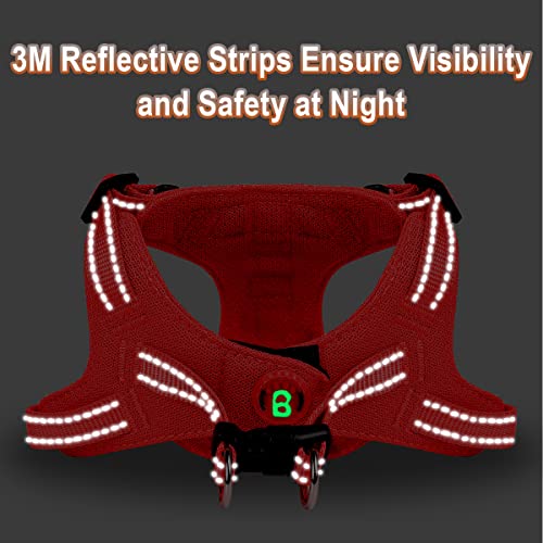 BARKBAY XS Red Step-In Dog Harness with Reflective Trim and Dual D-Rings for Small Dogs and Cats
