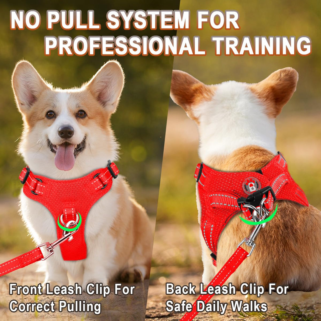BARKBAY XS Red Step-In Dog Harness with Reflective Trim and Dual D-Rings for Small Dogs and Cats
