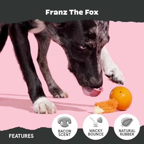 Barkbox Franz The Fox Dog Toy – Natural Rubber, Bacon Scented, for Aggressive Chewers (Small/Medium)