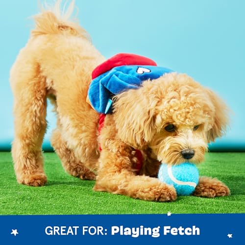 BarkBox Janspup Backpack Interactive Plush Dog Toy – Small, Squeaky, with Tennis Balls