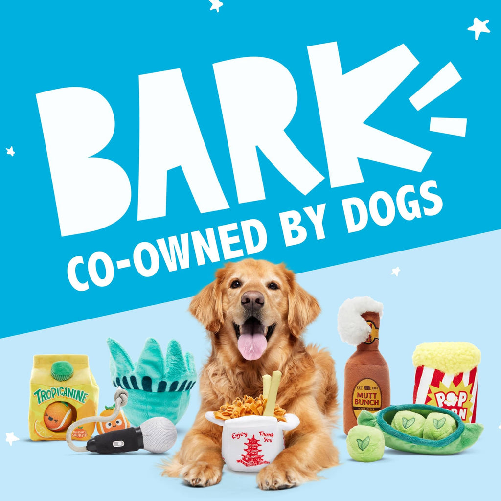 BarkBox Janspup Backpack Interactive Plush Dog Toy – Small, Squeaky, with Tennis Balls