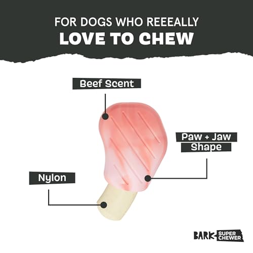 Barkbox Pork Chomp Dog Toy – Tough Nylon Chew Toy for Medium Dogs, Bacon-Scented & Dishwasher Safe