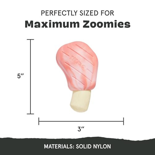 Barkbox Pork Chomp Dog Toy – Tough Nylon Chew Toy for Medium Dogs, Bacon-Scented & Dishwasher Safe