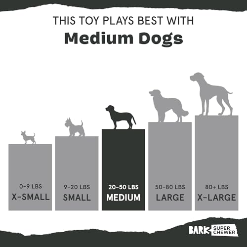 Barkbox Pork Chomp Dog Toy – Tough Nylon Chew Toy for Medium Dogs, Bacon-Scented & Dishwasher Safe