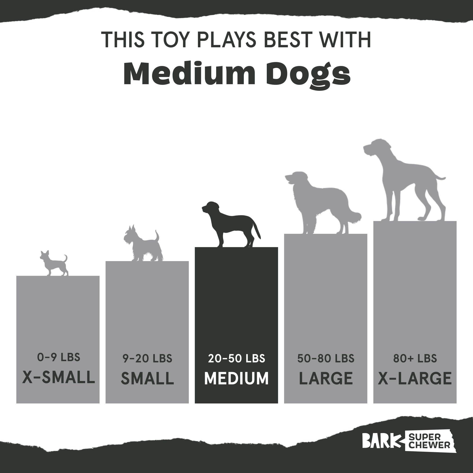 Barkbox Pork Chomp Dog Toy – Tough Nylon Chew Toy for Medium Dogs, Bacon-Scented & Dishwasher Safe