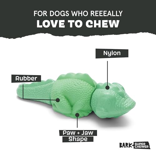 BARKBOX Super Chewer Iguana Toy for Large Aggressive Chewers – Rubber & Nylon Dental Chew