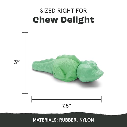 BARKBOX Super Chewer Iguana Toy for Large Aggressive Chewers – Rubber & Nylon Dental Chew
