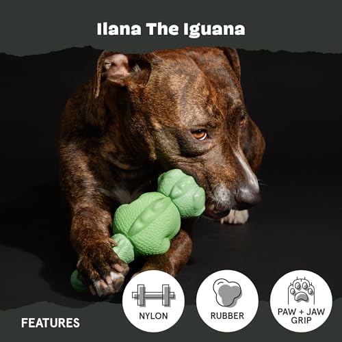 BARKBOX Super Chewer Iguana Toy for Large Aggressive Chewers – Rubber & Nylon Dental Chew