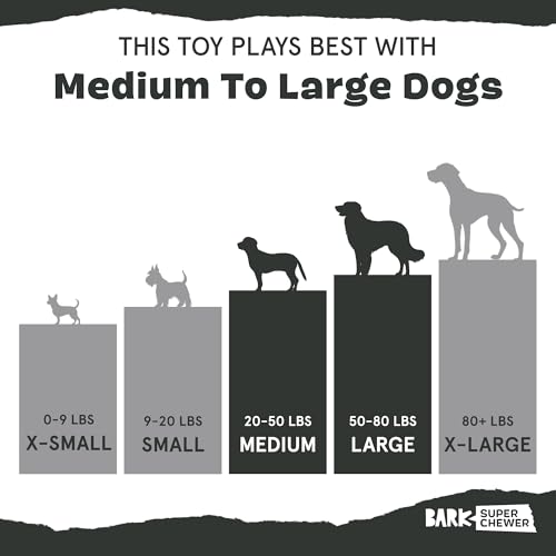 BARKBOX Super Chewer Iguana Toy for Large Aggressive Chewers – Rubber & Nylon Dental Chew