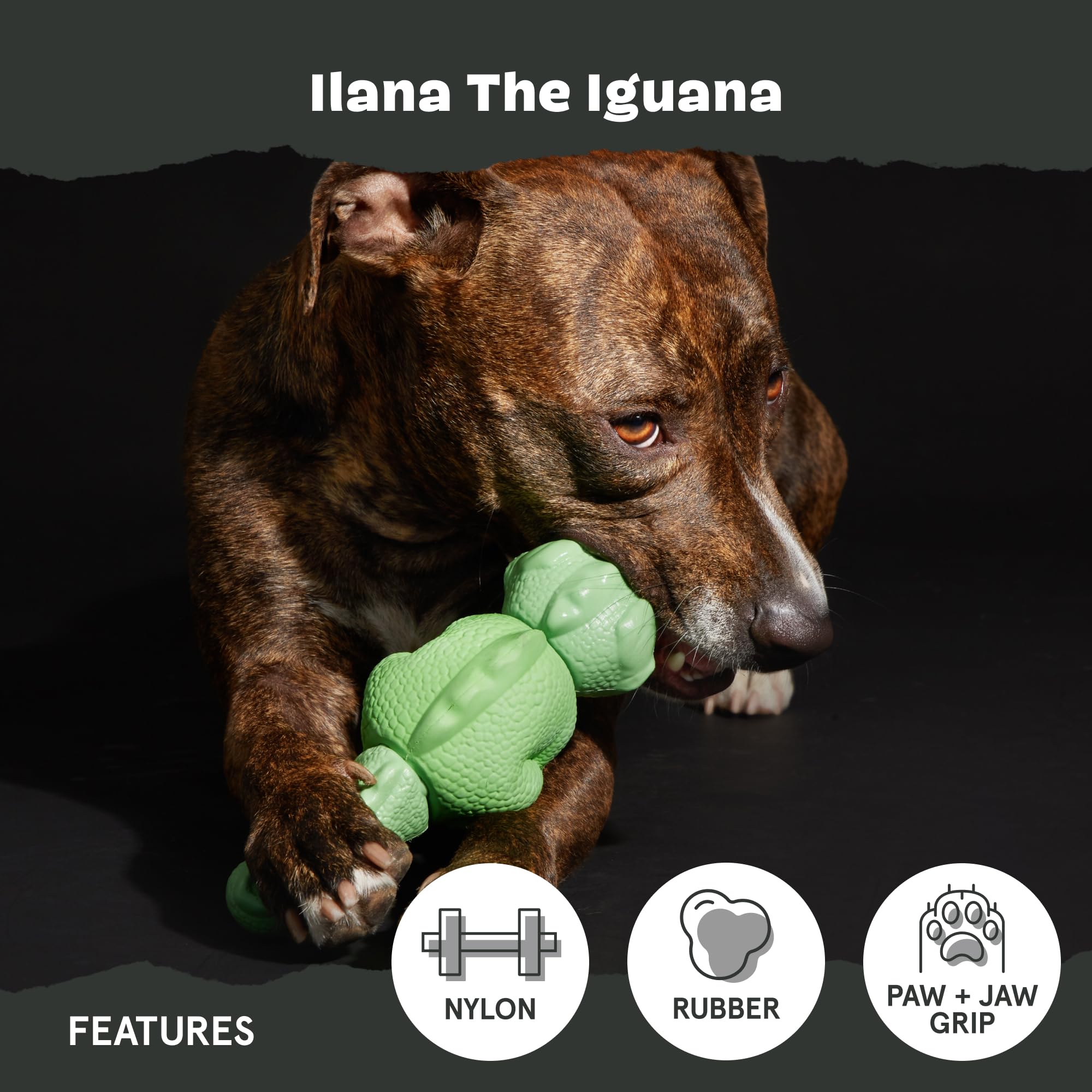 BARKBOX Super Chewer Iguana Toy for Large Aggressive Chewers – Rubber & Nylon Dental Chew