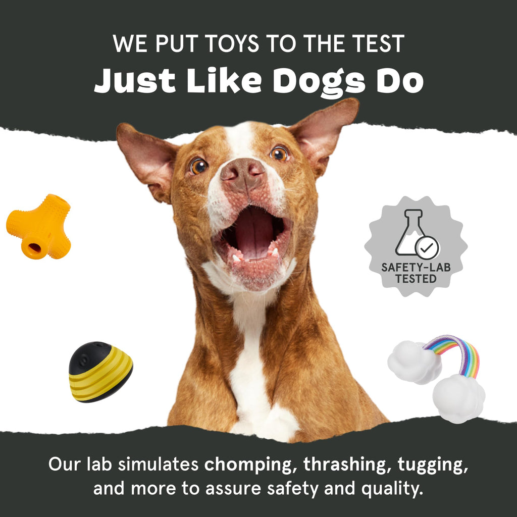 BARKBOX Super Chewer Iguana Toy for Large Aggressive Chewers – Rubber & Nylon Dental Chew