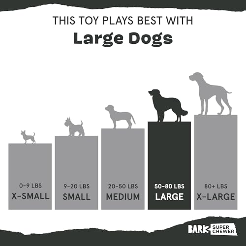 BarkBox Super Chewer Tough Dog Chew Toy for Aggressive Chewers, Large, Smoke Scented Antler