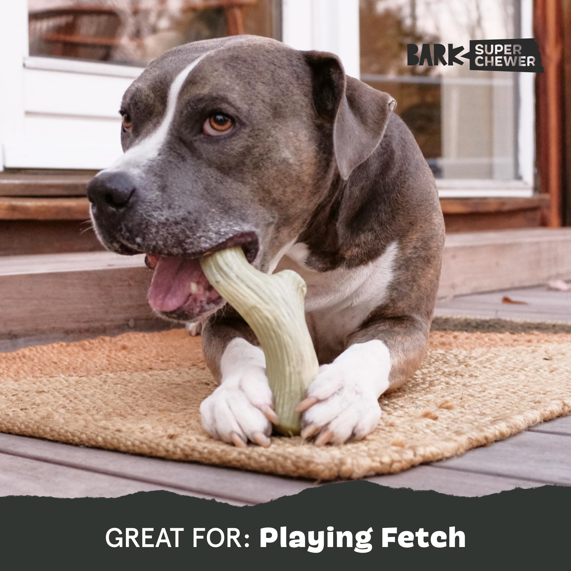 BarkBox Super Chewer Tough Dog Chew Toy for Aggressive Chewers, Large, Smoke Scented Antler