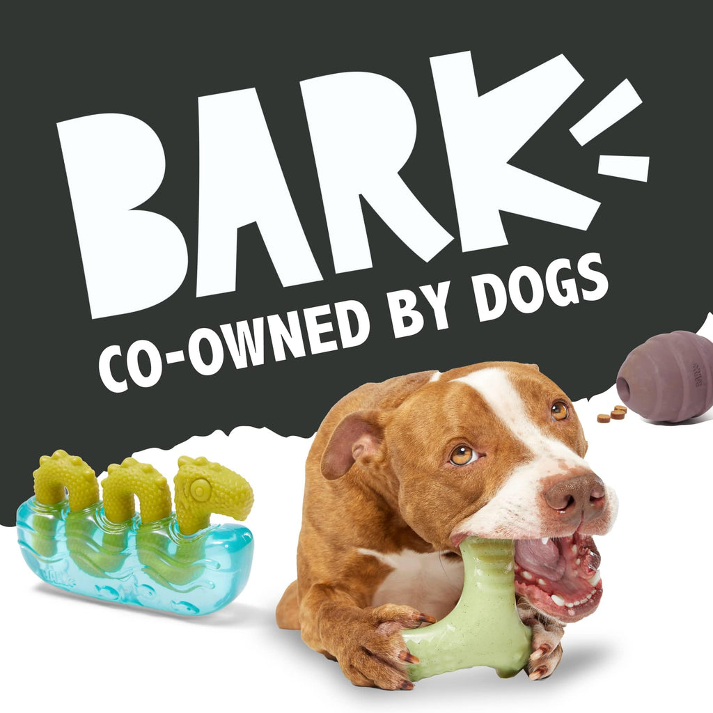 BarkBox Super Chewer Tough Dog Chew Toy for Aggressive Chewers, Large, Smoke Scented Antler