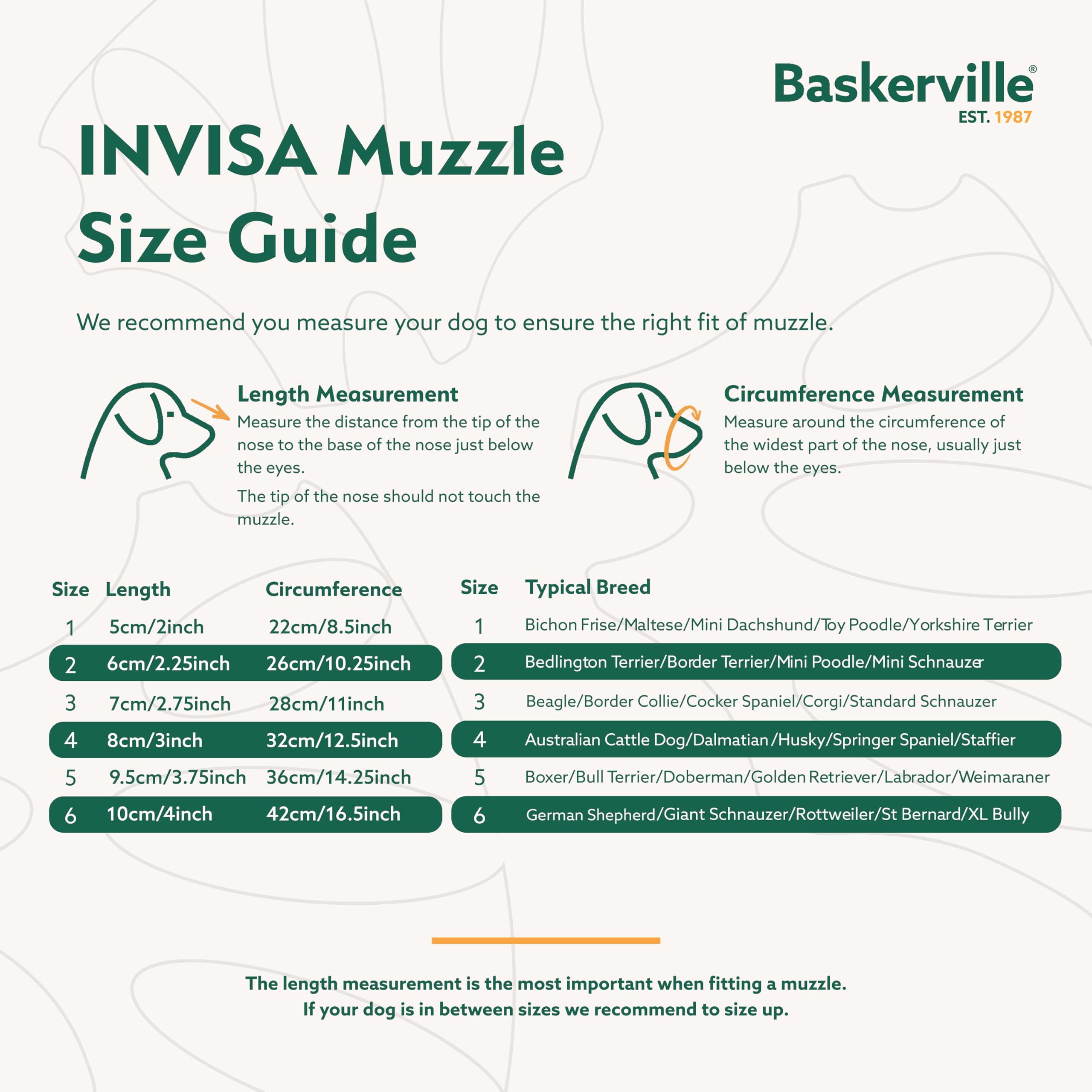 Baskerville INVISA Basket Dog Muzzle Size 4 - Transparent, Heat-Moldable, Anti-Scavenging for Medium Dogs