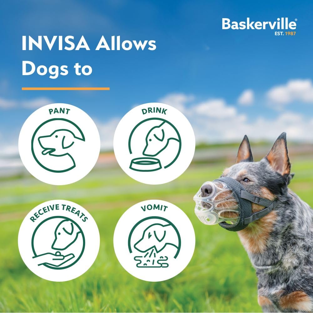 Baskerville INVISA Basket Dog Muzzle Size 4 - Transparent, Heat-Moldable, Anti-Scavenging for Medium Dogs