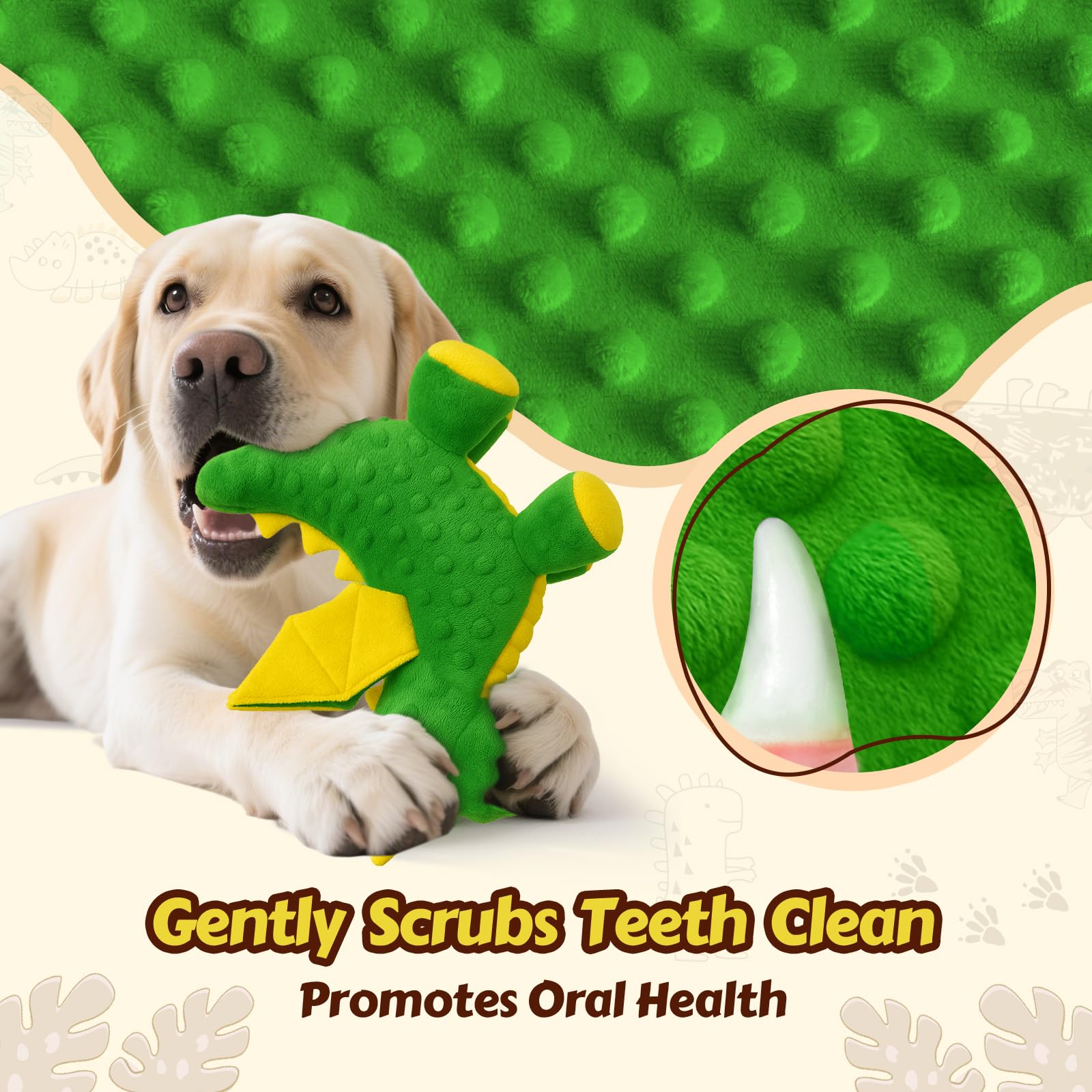 BBeary 2-Pack Dragon Dog Toys: Soft Plush with 5 Squeakers & Crinkle Wings (Green & Blue, 10-Inch)